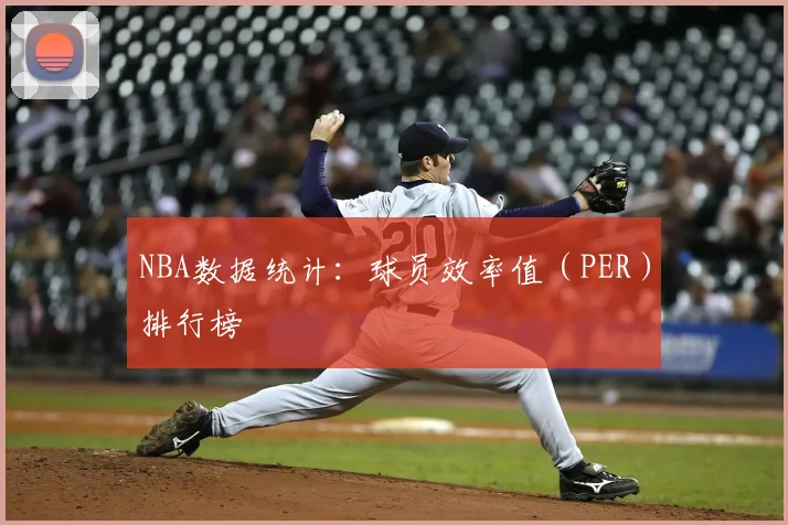 NBA数据统计：球员效率值（PER）排行榜