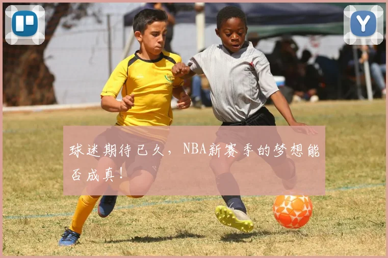 球迷期待已久，NBA新赛季的梦想能否成真！