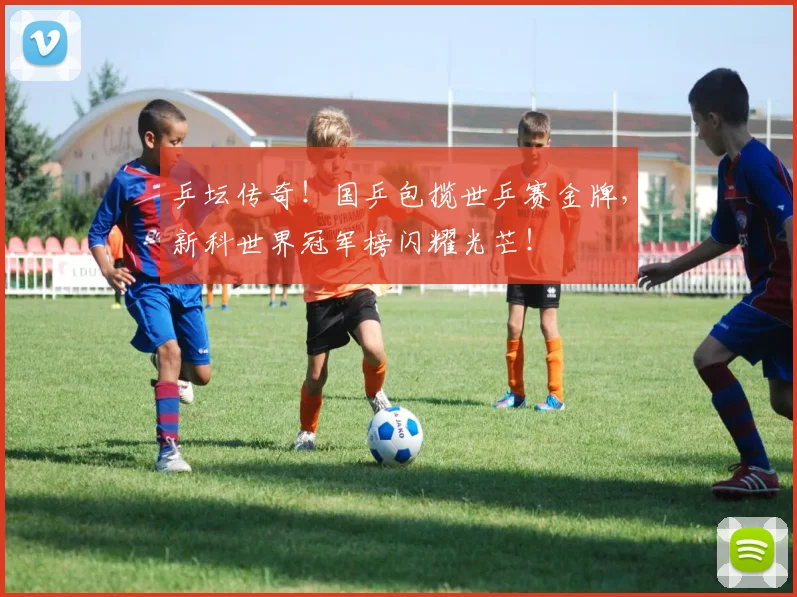 乒坛传奇！国乒包揽世乒赛金牌，新科世界冠军榜闪耀光芒！